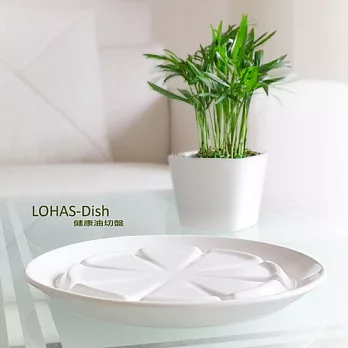 【Zaport】健康油切盤 LOHAS-Dish(10吋單入)