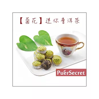 【PuerSecret】菊花迷你普洱茶