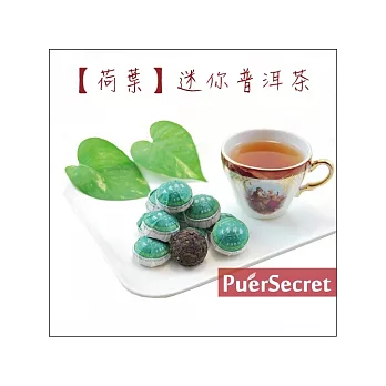 【PuerSecret】荷葉迷你普洱茶