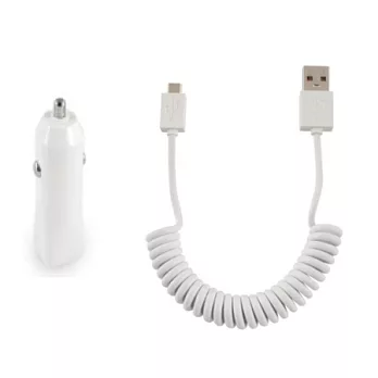 SALOM Mini USB傳輸線 + 手機充電器 (車充) FOR HTC/ SAMSUNG/ MOTOROLA/ SONY/ MP3/ MP4 / 行動電源 /Charger