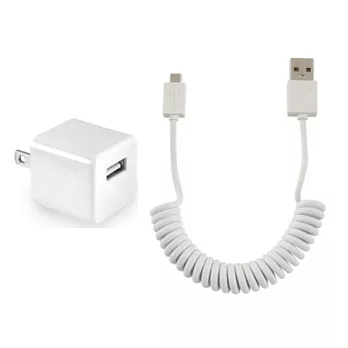 SALOM Mini USB傳輸線 + 手機充電器 (旅充) FOR HTC/ SAMSUNG/ MOTOROLA/ SONY/ MP3/ MP4 / 行動電源 /Charger