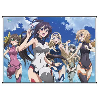 I S(Infinite Stratos) 高解析布畫(9)