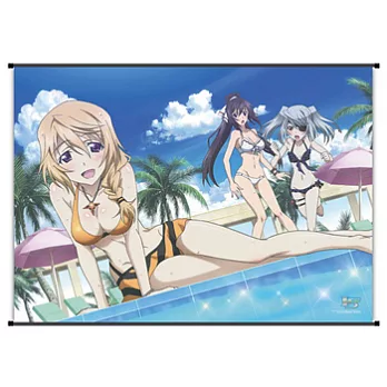 I S(Infinite Stratos) 高解析布畫(10)