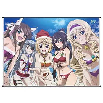 I S(Infinite Stratos) 高解析布畫(11)