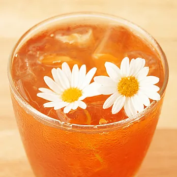 【花草巫婆】冷泡飲 洋甘菊錫蘭