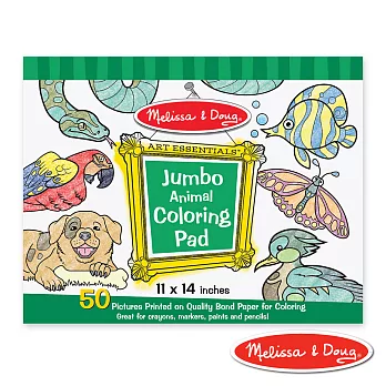 美國 Melissa & Doug 大型兒童繪圖本【動物】