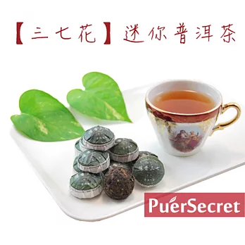 【PuerSecret】三七花迷你普洱茶50g