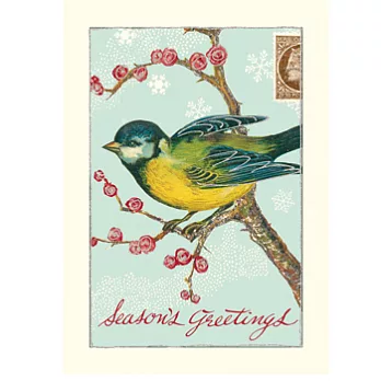 Cavallini_Greetings NoteCard聖誕卡(10入)(樹枝上的鳥)