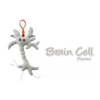 【賽先生科學工廠】身體細胞系列-腦細胞鑰匙圈