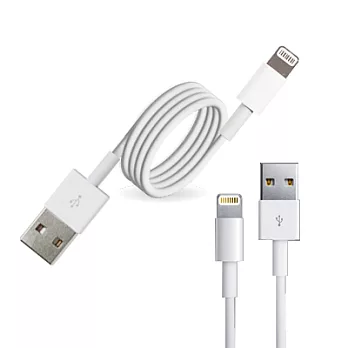 FOR iPhone 5 /iPad mini副廠USB傳輸充電線
