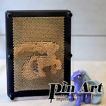 【賽先生科學工廠】Pin Art大搞創意複製針【超大登場】鵝蛋黃