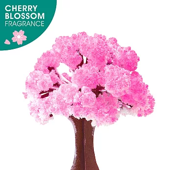 【賽先生科學工廠】紙樹開花-魔法櫻花迷你版[獨家櫻花香氛]