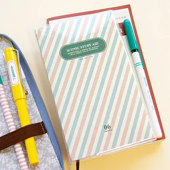 隨身學習計畫本S.V2-stripe