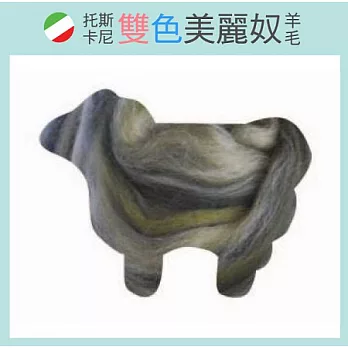 托斯卡尼-雙色美麗奴羊毛-DDM814沼澤