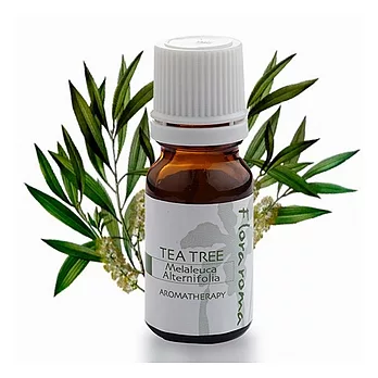 Flora Roma單方精油10ml- 茶樹精油