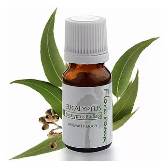 Flora Roma單方精油10ml- 尤加利精油