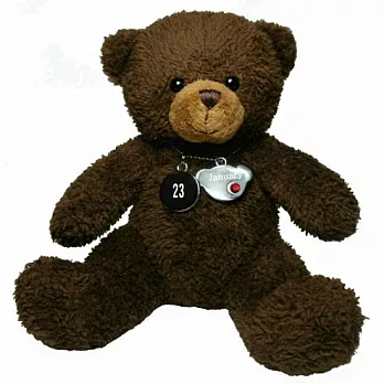 365天幸運寶石誕生泰迪熊-1月23日