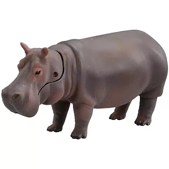 ANIA探索動物 - AS06 河馬
