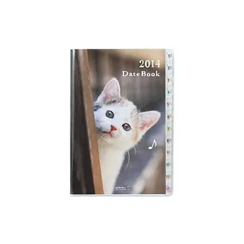 MIDORI POCKET DIARY 2014 手帳月單週B6小貓咪小貓咪