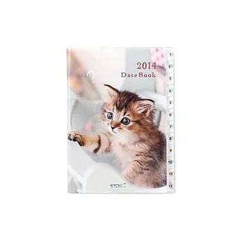 MIDORI POCKET DIARY 2014 手帳月雙週A6小貓咪小貓咪