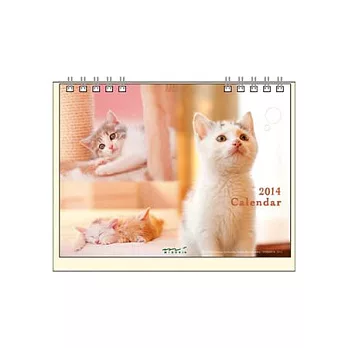 MIDORI 2014桌上型月曆(M)小貓