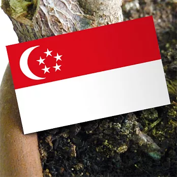 【國旗商品創意館】新加坡國旗抗ＵＶ、防水貼紙2入／Singapore／世界多國款可選購