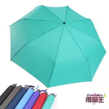 【雨傘王】BigRed浩克傘-綠色☆超大傘面手開傘抗風超防潑