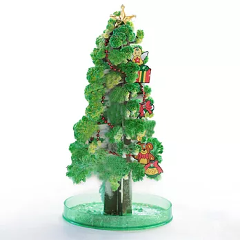 【賽先生科學工廠】紙樹開花啦！巨大聖誕樹-長青綠