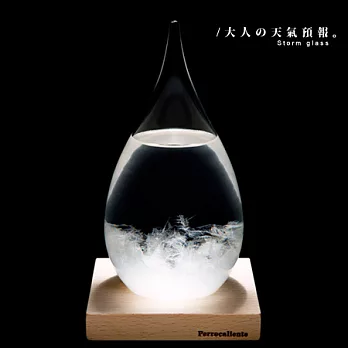 【賽先生科學工廠】大人の天氣預報/北國結晶風暴球-大(含木座)