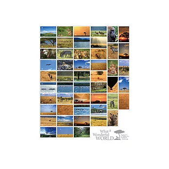 【 frogfree.com 】frog.POSTCARD美好世界系列明信片-What A Wonderful World全系列一套