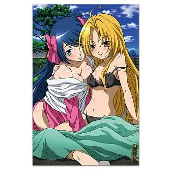 織田信奈的野望 門簾 (1)