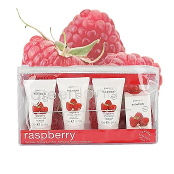 荷蘭Greenland 果萃悠遊4件組覆盆子