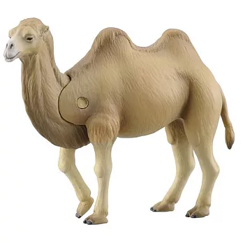 ANIA探索動物 AS18 駱駝