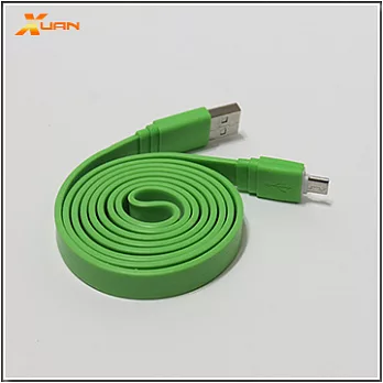 彩色大麵條扁線-Micro USB通用傳輸充電線（綠色）