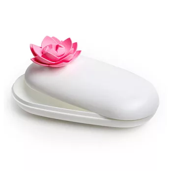 QUALY 石上蓮花-置物盒(白+粉紅)