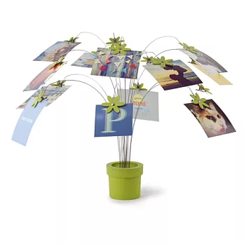 Umbra時尚花瓣照片樹 綠