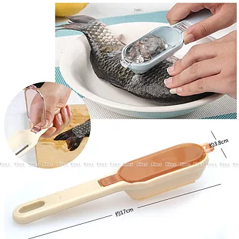 日本有蓋刮魚鱗器魚鱗刮刀2入去除魚鱗廚房好料理