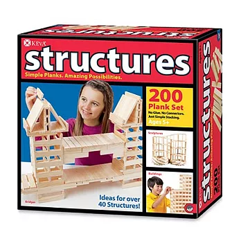 3D建構積木 建築師結構組 (200片)