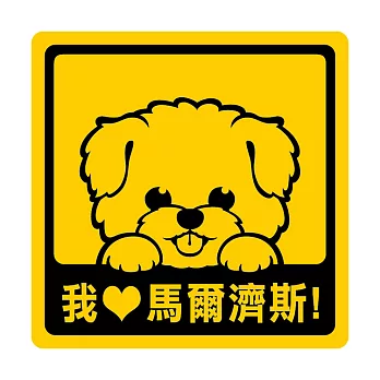 【DOUBLE Q】萌犬出沒創意貼(二)-馬爾濟斯犬