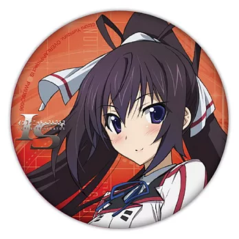 IS2 (Infinite Stratos2)-大胸章(6)