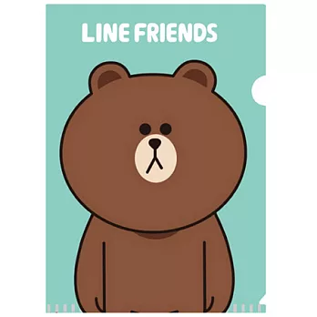 LINE FRIENDS 新潮文件夾(熊大)