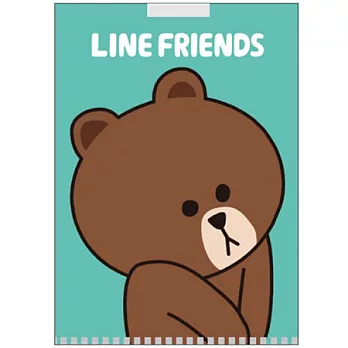 LINE FRIENDS 口袋型文件夾(熊大)