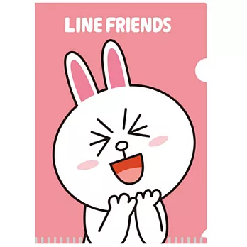 LINE FRIENDS 新潮文件夾(兔兔)