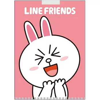LINE FRIENDS 口袋型文件夾(兔兔)