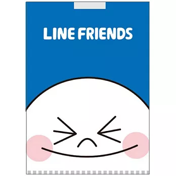 LINE FRIENDS 口袋型文件夾(饅頭人)