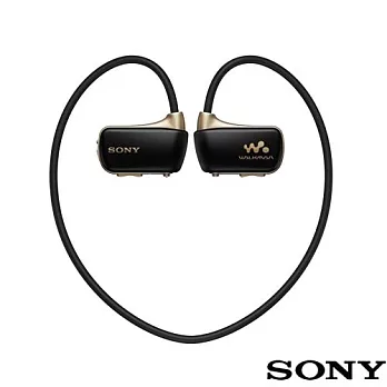 SONY Walkman數位隨身聽4GB(NWZ-W273S) 送豆豆耳機(尊爵黑)