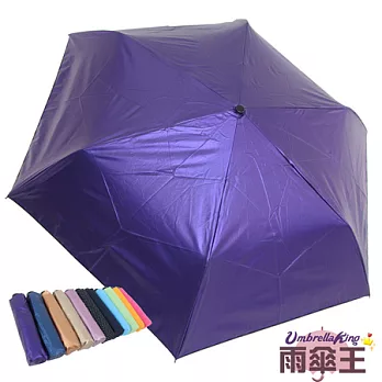 【雨傘王】BigRed旅行家-色膠紫色色膠紫色