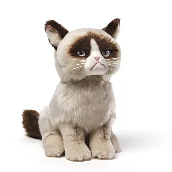 美國Gund 不爽貓