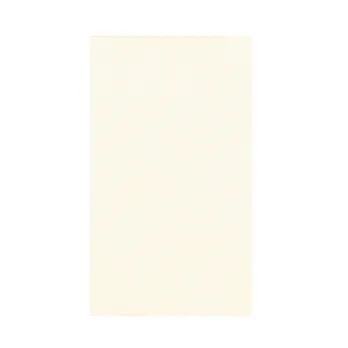 MIDORI PROFESSIONAL DIARY 2015手帳月週間(A5)白