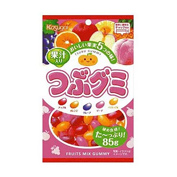 日本春日井雷根糖-5種水果
